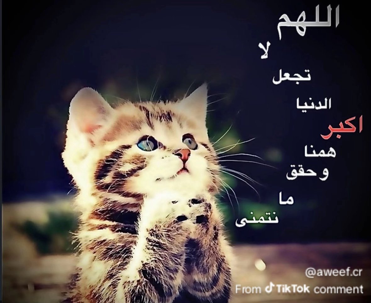 TheOfficiaIOmar's tweet photo. https://t.co/Opsh9uCQuk