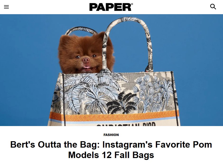 Since today is Throwback Thursday, here is a look back at when Bert modeled 12 fall bags for some of the world's biggest brands.

Back then, Bert was just sitting inside designer bags. 

Now, $BERT is the best thing sitting inside all of our bags.