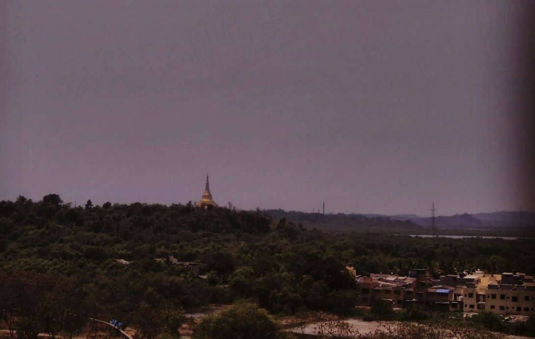 Save Mumbai Mangroves tweet media