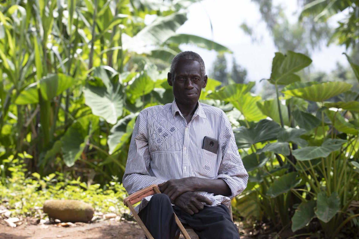 Mount Elgon Tree Growing Enterprise tweet media