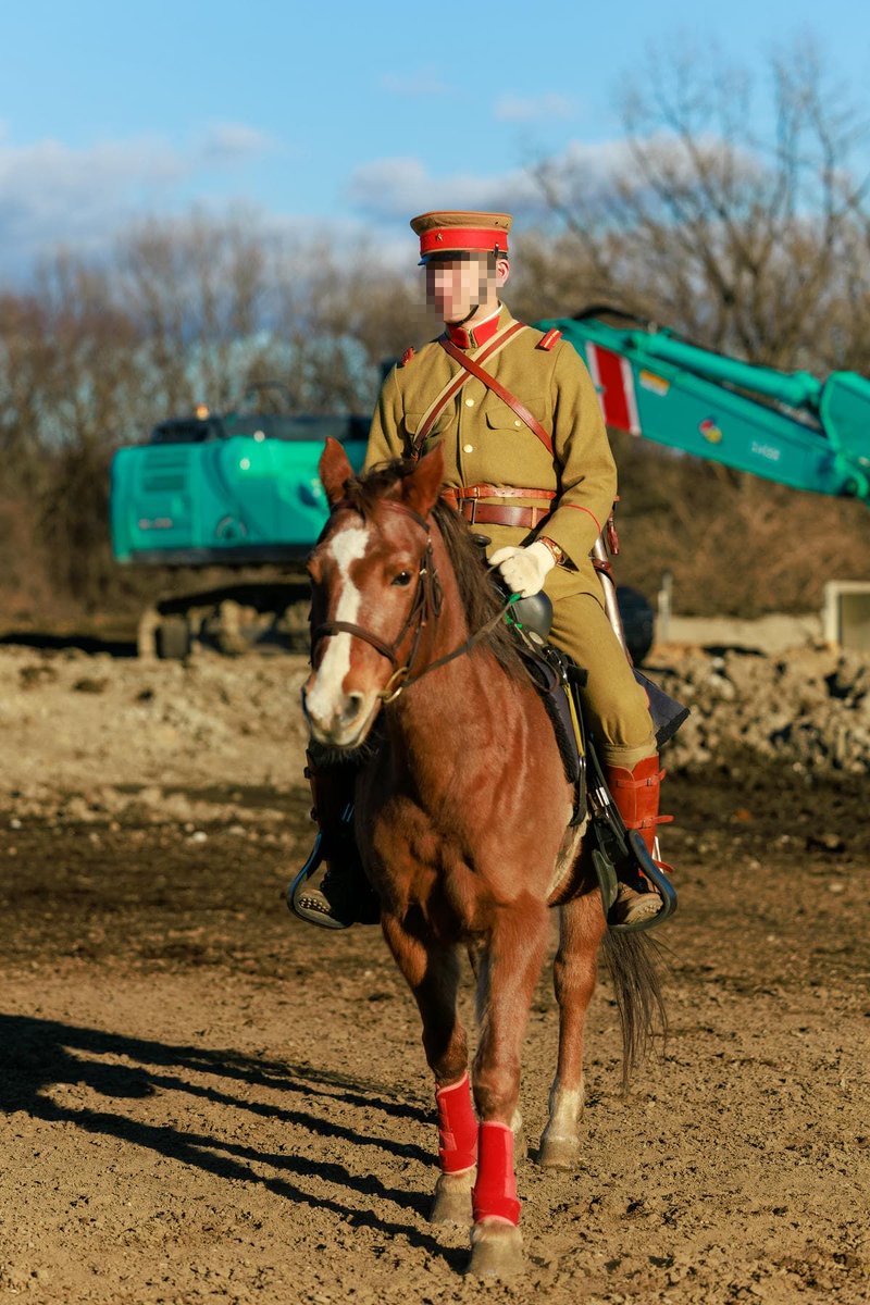 ソーメンクラトゥーラ tweet media