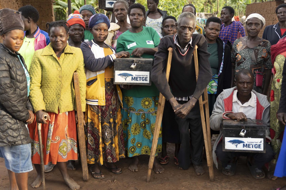 Mount Elgon Tree Growing Enterprise tweet media