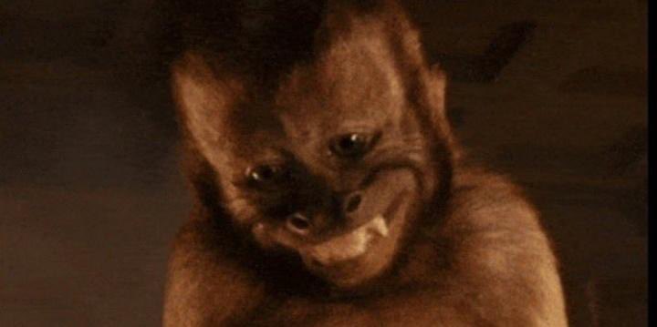 Na lie no believe 
Na the same scope e use for other girls