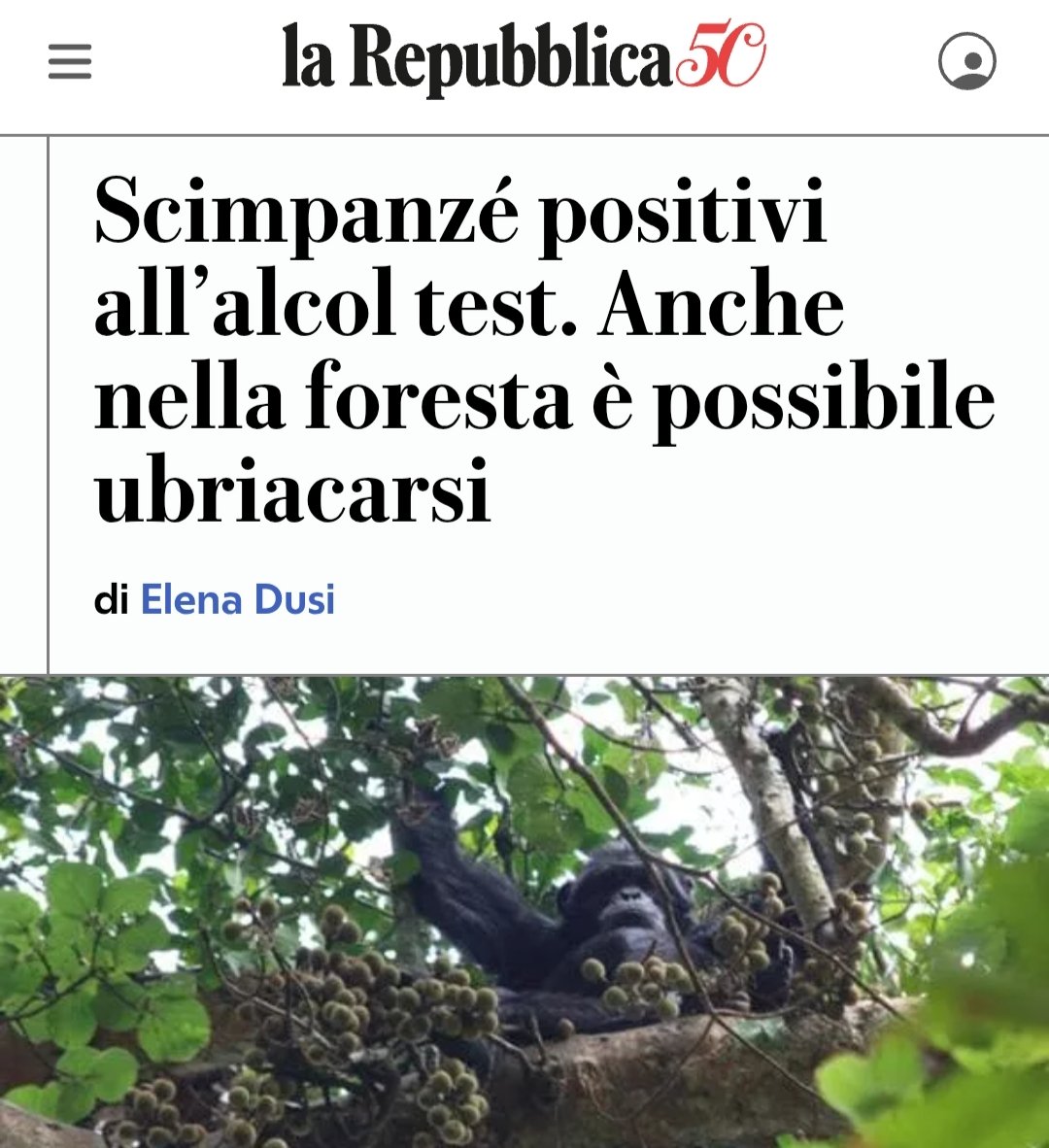 Quindi non bevono solo Crodino.