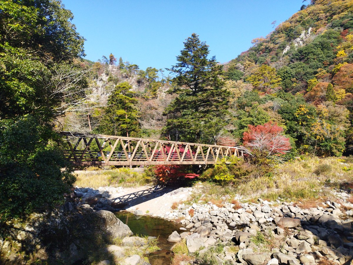 noburusandayo's tweet photo. 福山の山野峡キャンプ場。 切り立った崖と川のせせらぎ、この秘境感で無料（要届出）は凄すぎる。
山奥だけどスマホの電波もしっかり入るから、静かに過ごしたいけど連絡手段は確保したい…なんてワガママも叶います。

#キャンプ #福山 #山野峡 https://t.co/8TYEWSXcuL https://t.co/wGTY99Lps4