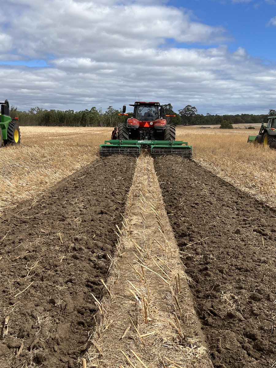 Bindi Isbister tweet media