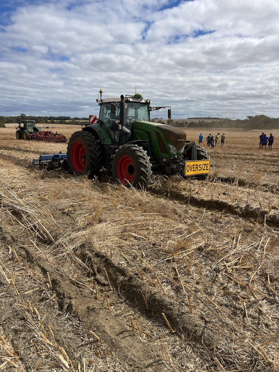 Bindi Isbister tweet media