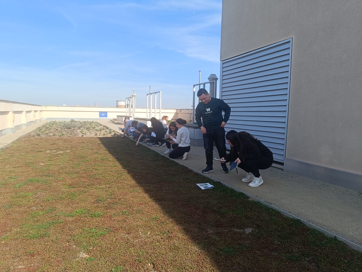 big4lifeproject's tweet photo. We continue to work to promote greener and more sustainable architecture 💚

#GreenRoofs #BIG4LIFE #UrbanBiodiversity #LIFEProgramme #GreenInfrastructure #Lleida #Sustainability https://t.co/0yJ0KYCiPV