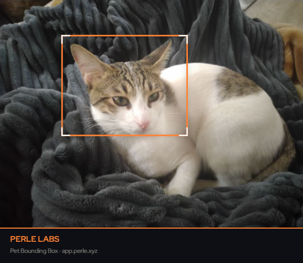 F Λ R Z Λ D tweet media