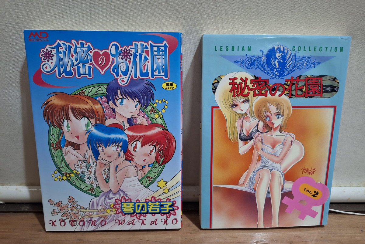 いつもの古本屋で秘密の花園の1を探したけど無くて「秘密のお花園」なら発見した。
脚立使って1番上の段の奥も調べてみよう。