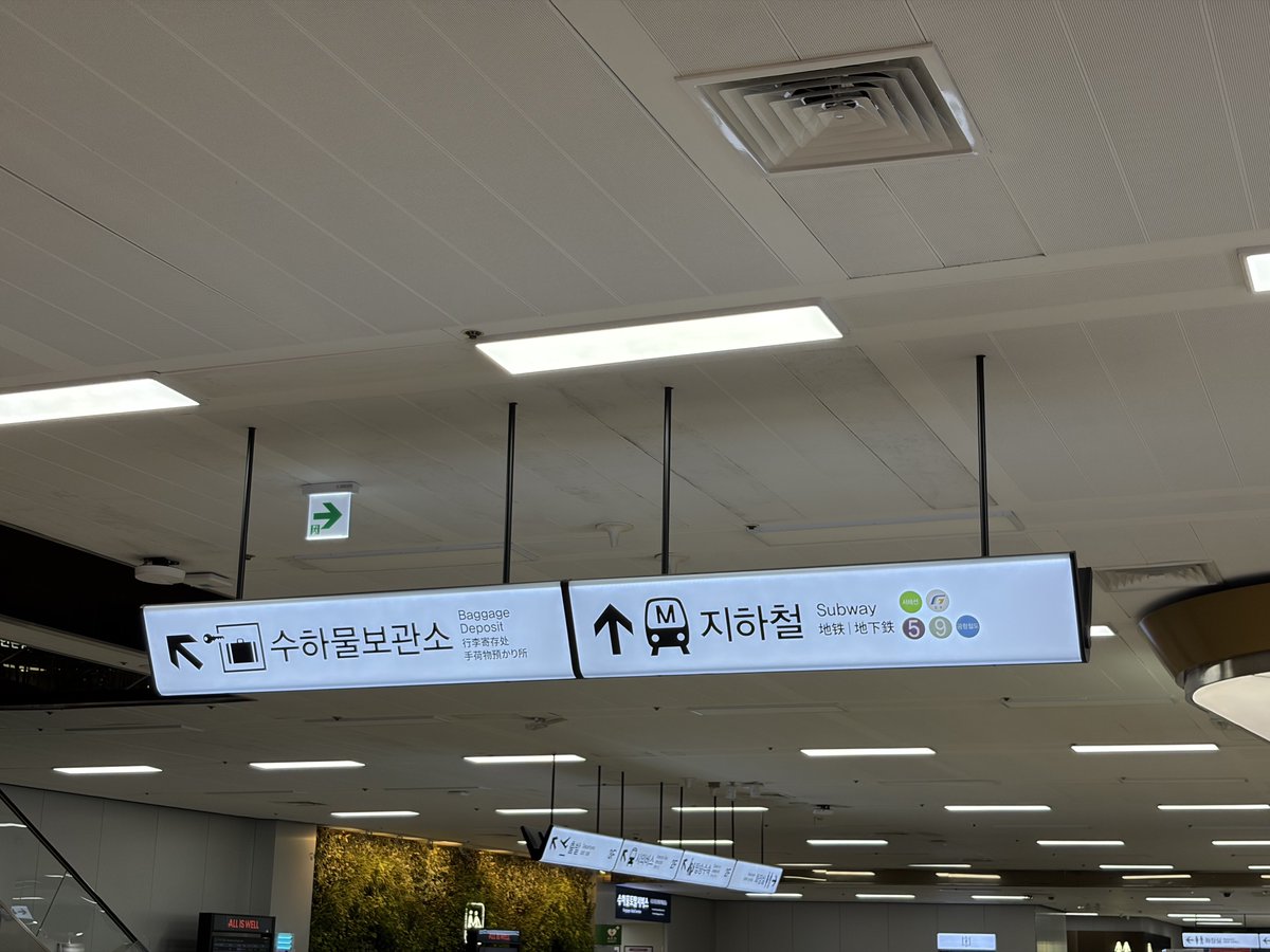 kichi2004 tweet media