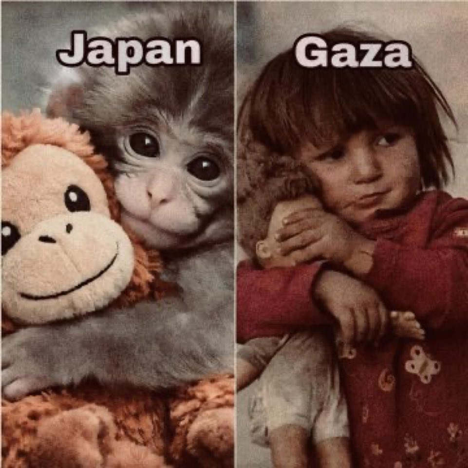 لا تتوقف عن النشر فصمتك خيانة