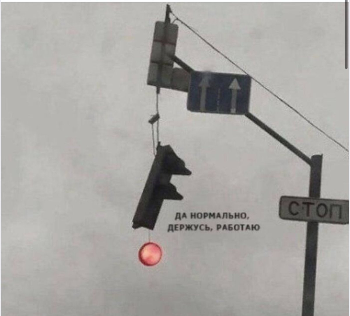 Vladimir tweet media