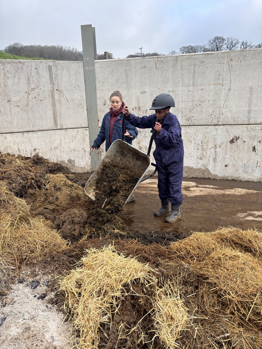 John Burns Primary tweet media