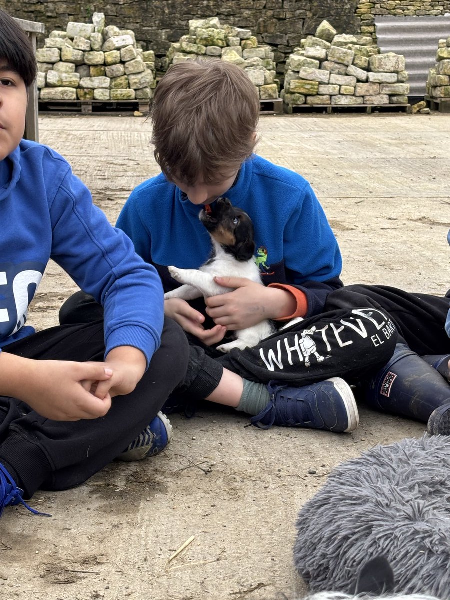 John Burns Primary tweet media