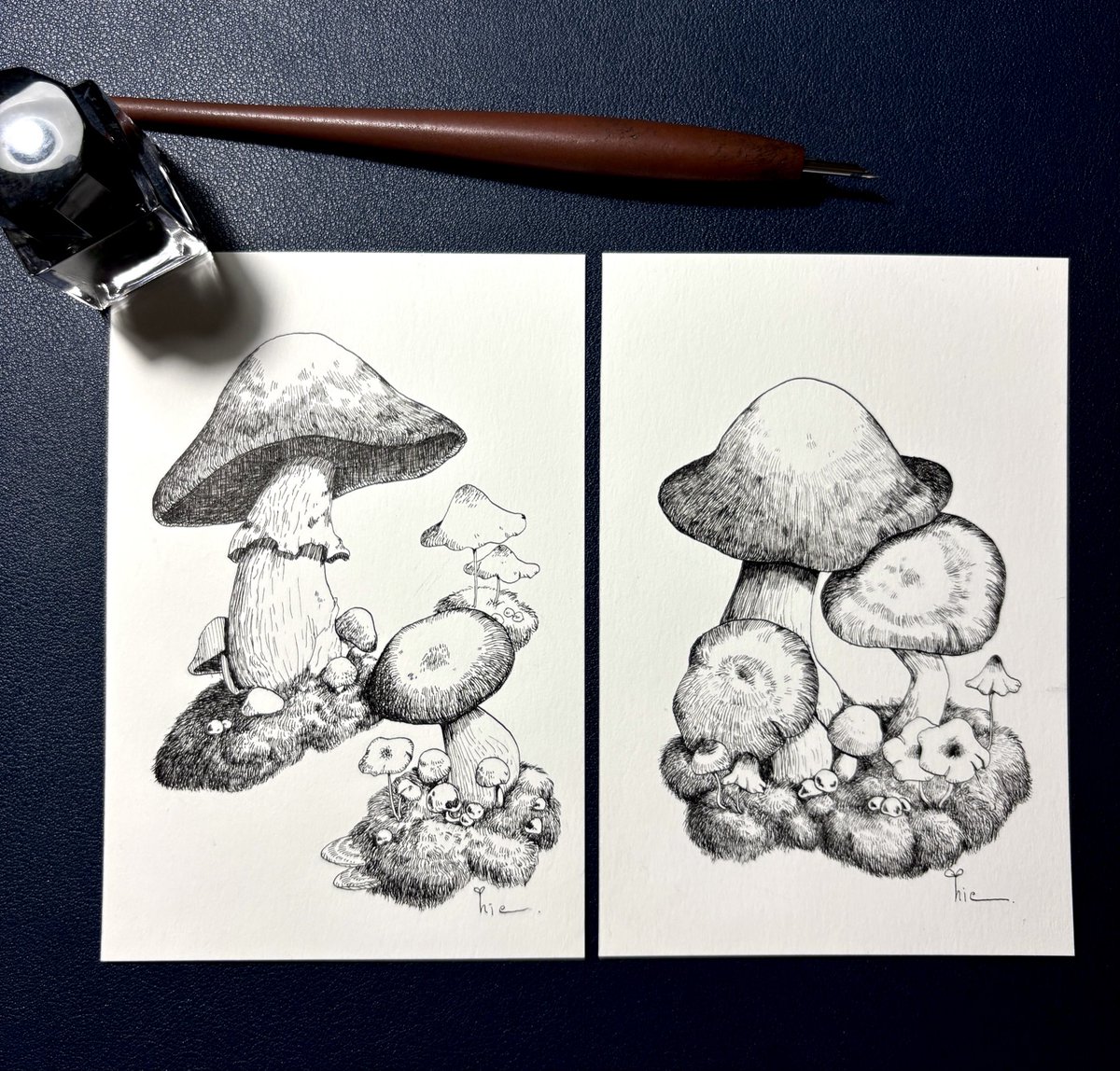 明日どっちから色付けようかなぁ⸜(* ॑꒳ ॑*  )⸝

 #ペン画 #アナログ #きのこ