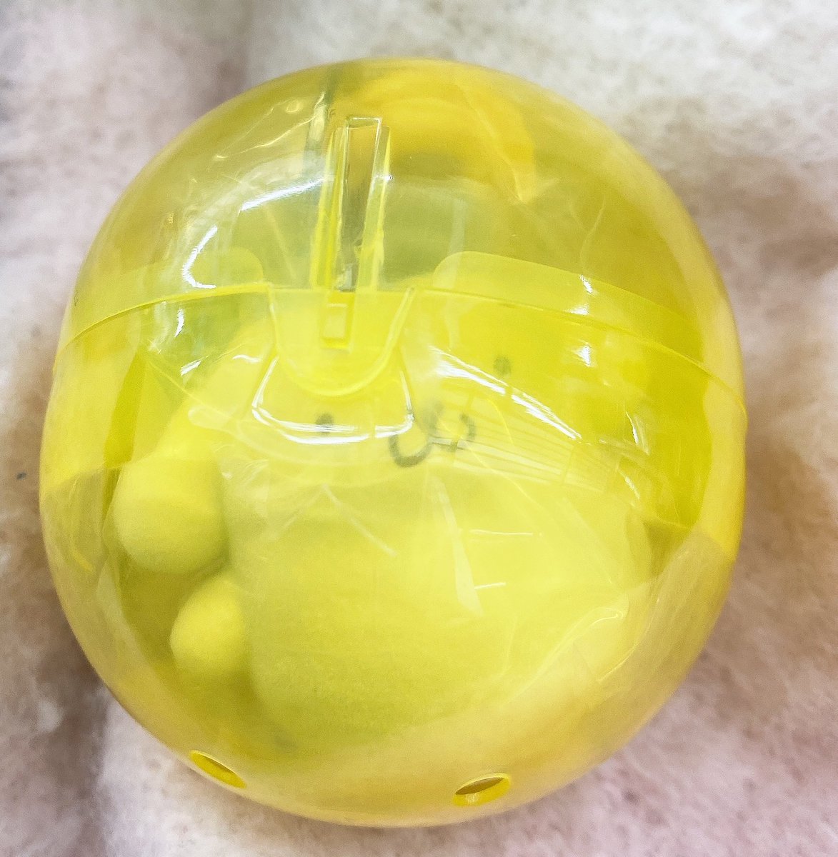 鳥使いの嫁 tweet media