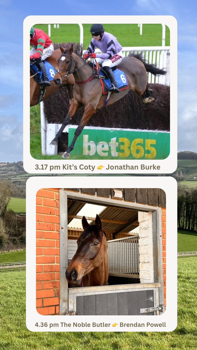 Emma Lavelle tweet media