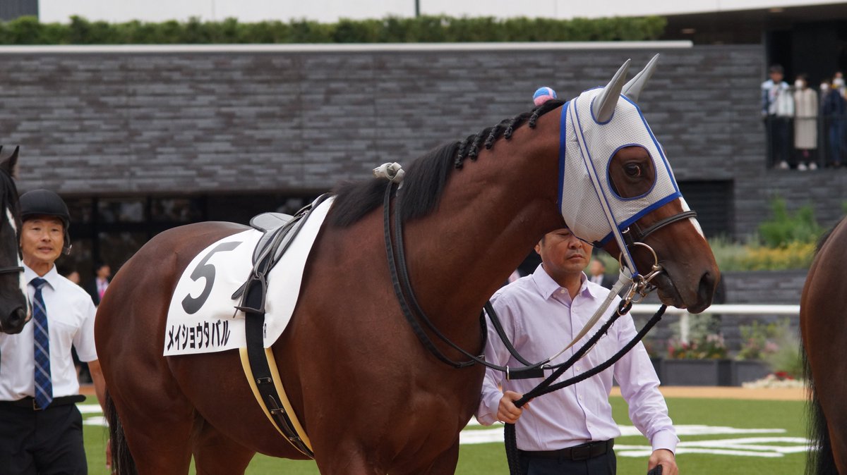 メイショウタバル