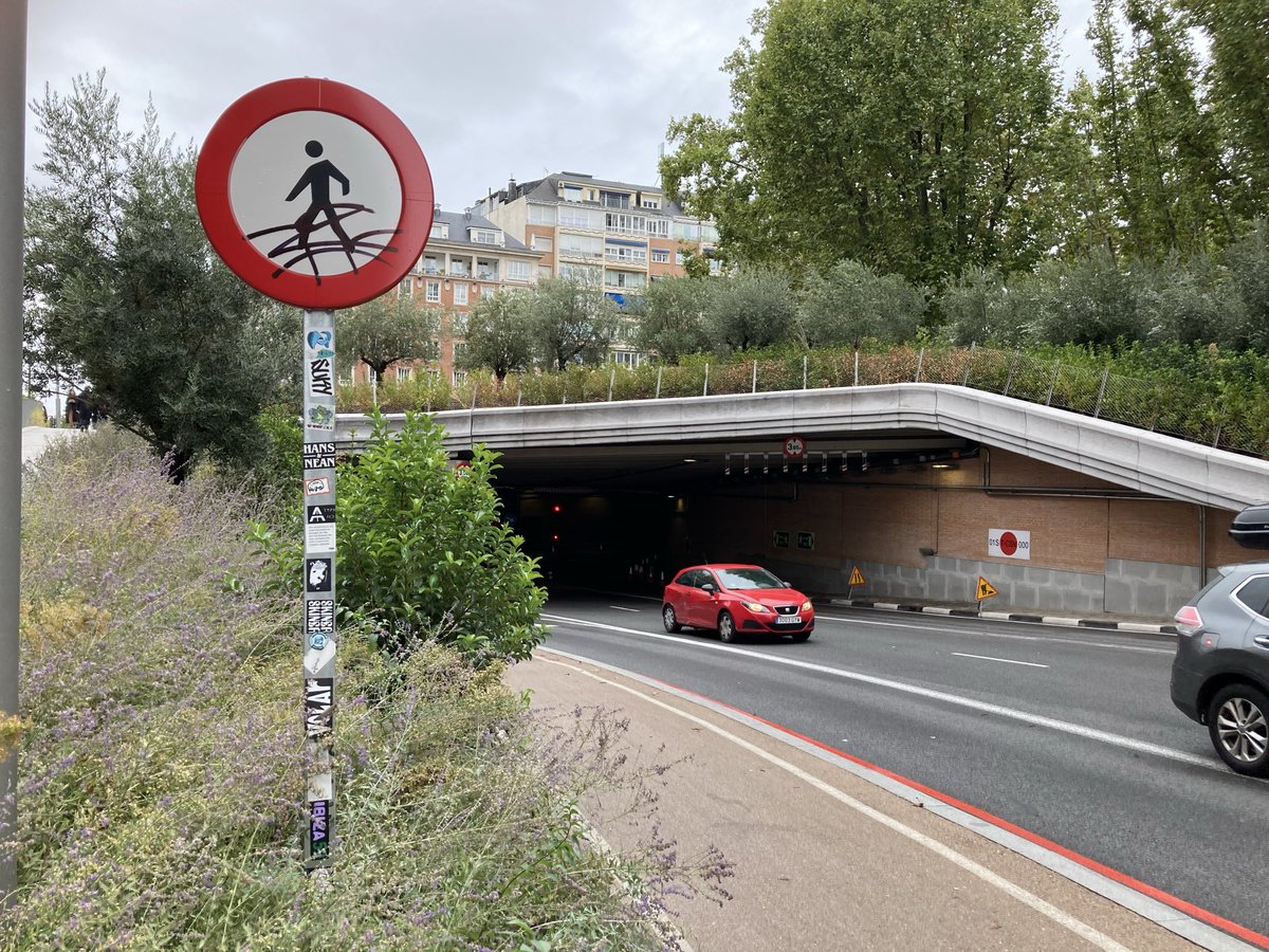 Dr Richard Simpson tweet media