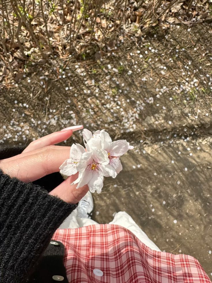 𝗻𝗮𝗹𝗮 ⭐ tweet media