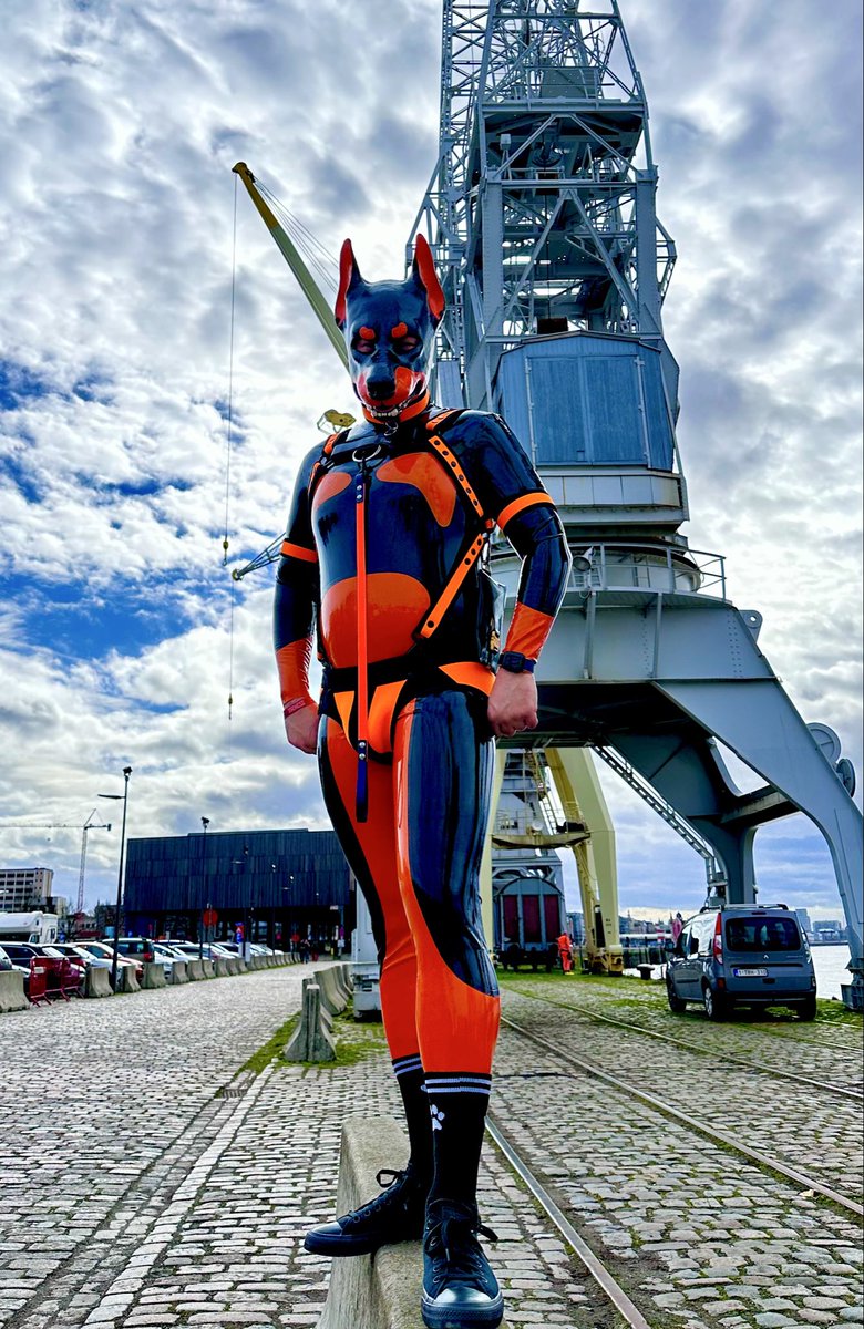 Pup Dami 🔜 Rubber Critter Weekend tweet media