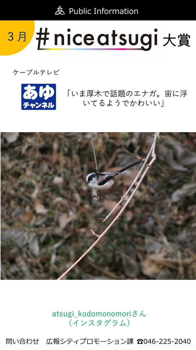 今月のniceatsugi大賞です！おめでとうございます！