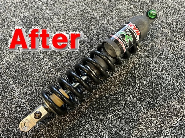 ピュアテック 皇帝ペンギン様 tweet media