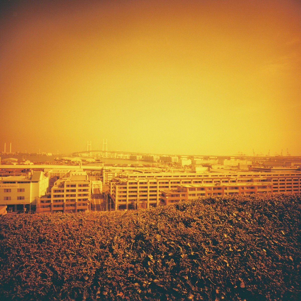 7a_tkn_'s tweet image. CP+行こうと思ってたけど体調不良で行けなかった（泣）

画像はLC-120と熟成されたレッドスケールで撮った横浜山手。
#Lomography
#りょえさんぽ