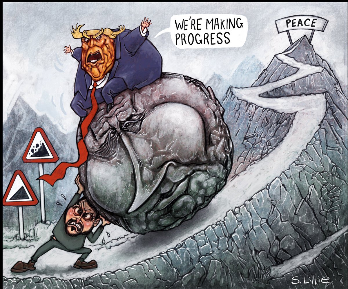 Steve Lillie tweet media