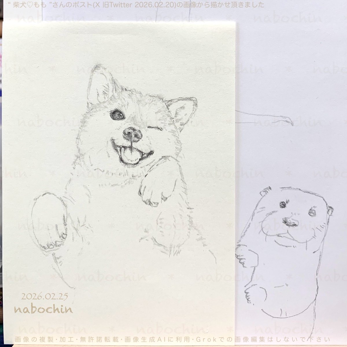 ↑の絵の… 着彩前 と 着彩後 ＆ らくがき 趣味 #鉛筆画 #色鉛筆画