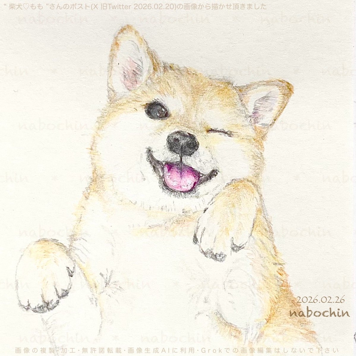 🐕゛柴犬ちゃん φ(*^^*) ♪ 趣味 鉛筆画 #色鉛筆画 #イラスト