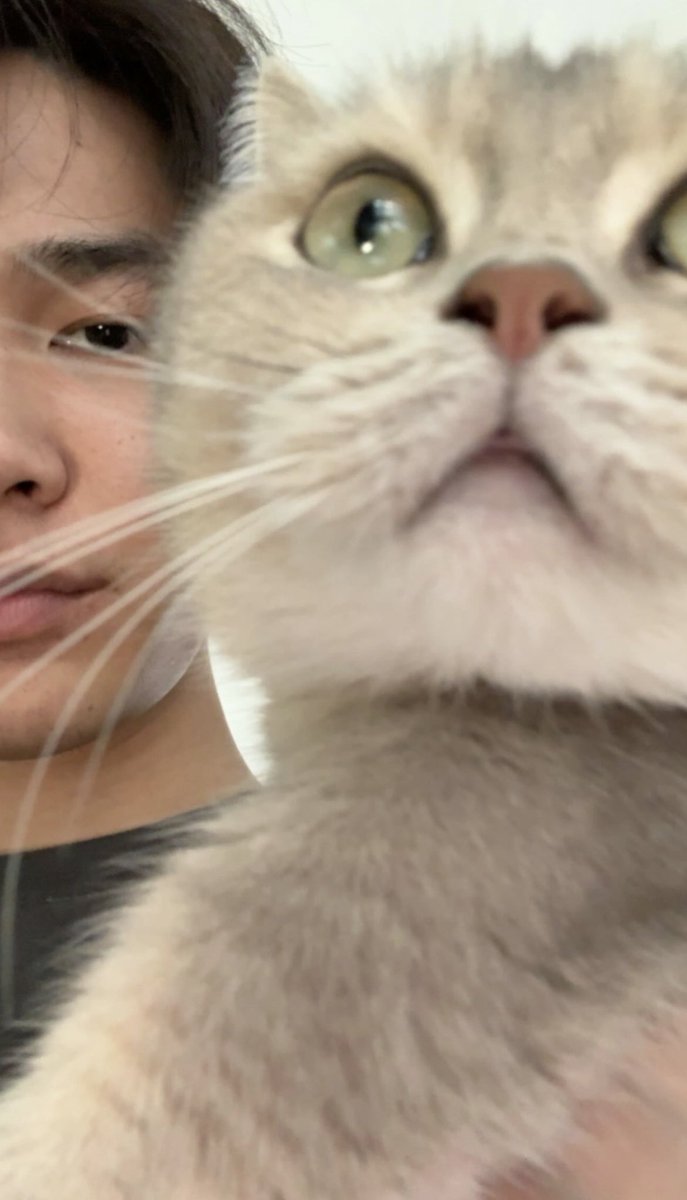 ritual menjelang ldr check