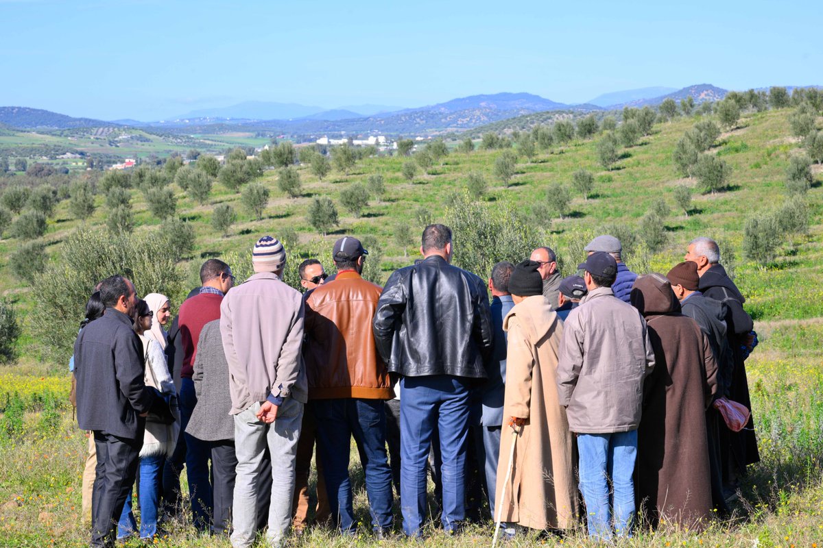 Lives and Livelihoods Fund (LLF) tweet media