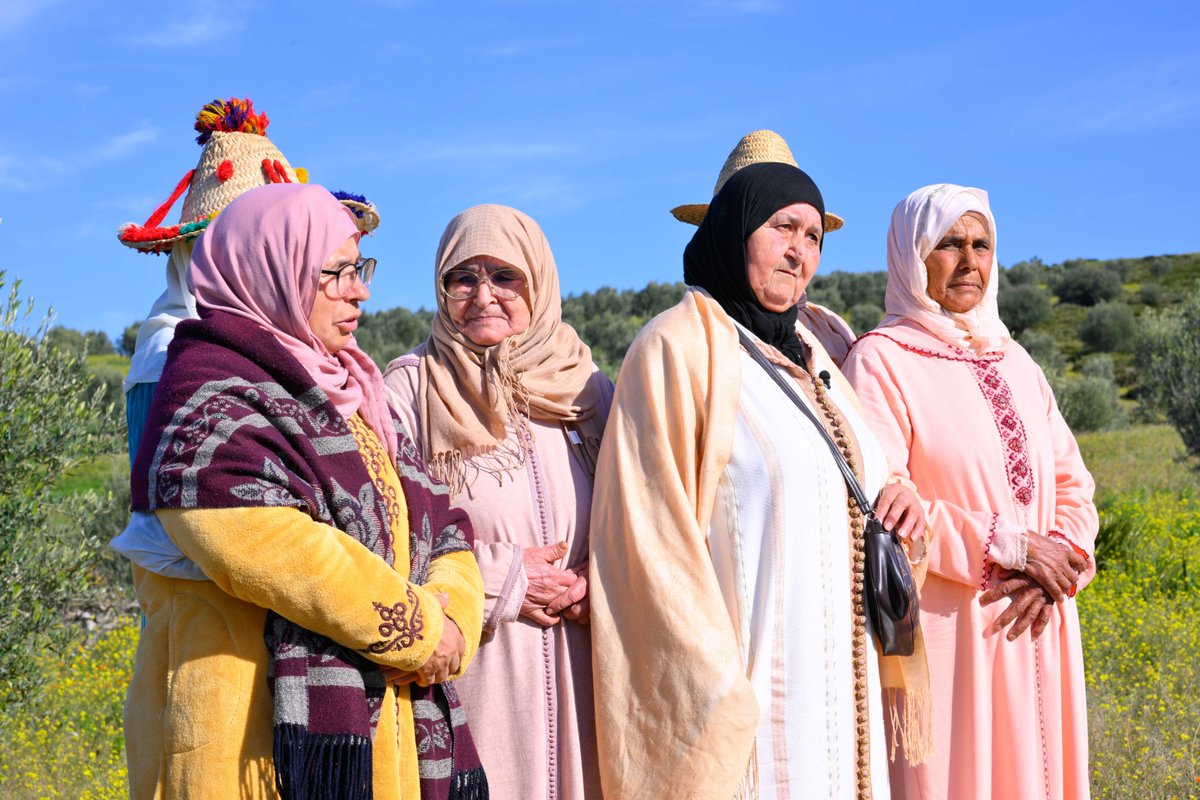 Lives and Livelihoods Fund (LLF) tweet media