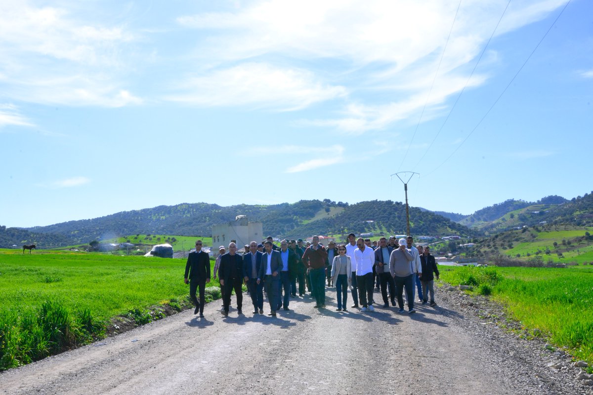 Lives and Livelihoods Fund (LLF) tweet media