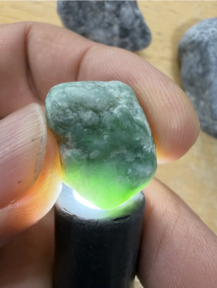 お客さんがゲット‼️その3 糸魚川大好きな大ベテランさん😁👍帰りにも