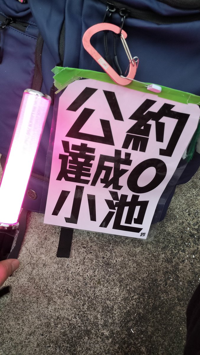 写真を見返した所、自分は2024年の都知事選ですでにペンライトを使っ