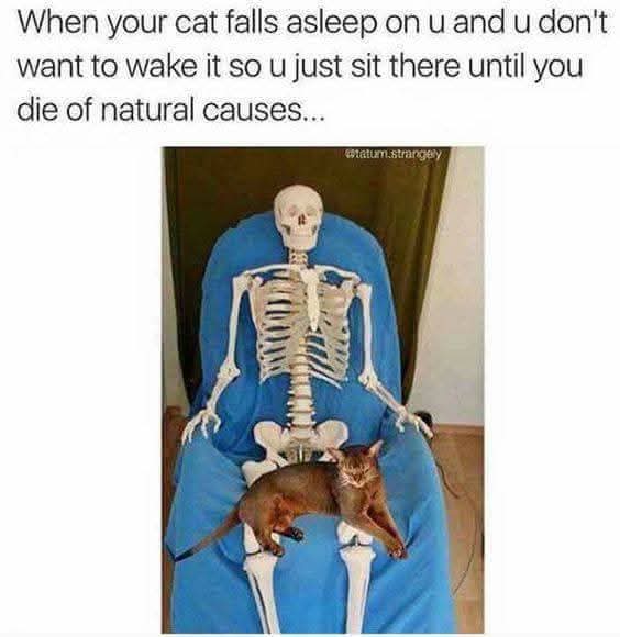 von🏴🥃 tweet media