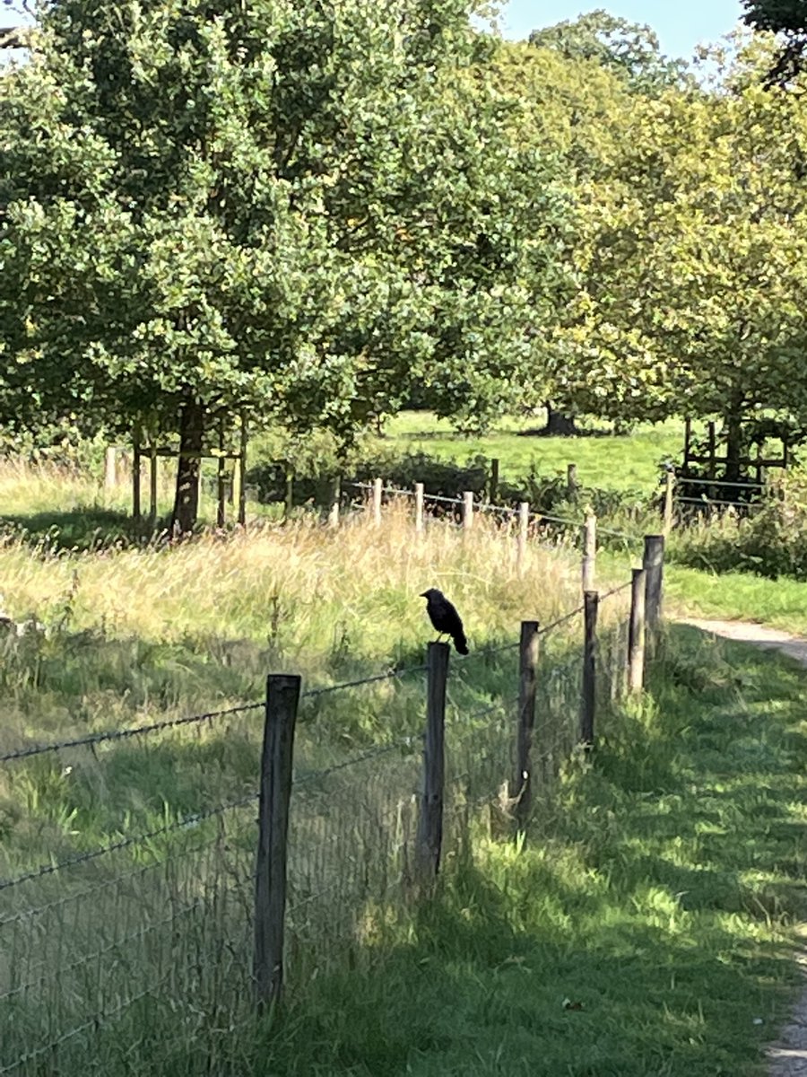 LizanneLloyd's tweet image. #DailyPictureTheme #Peaceful