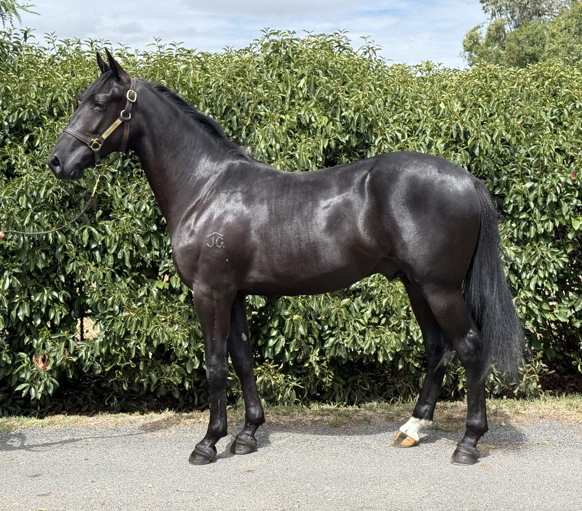 Success Stud tweet media