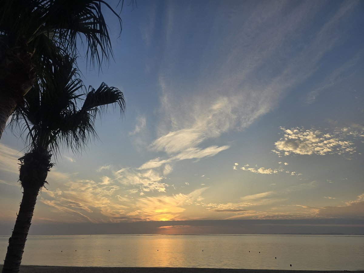 ぼんちゃんto❸❻❾ tweet media