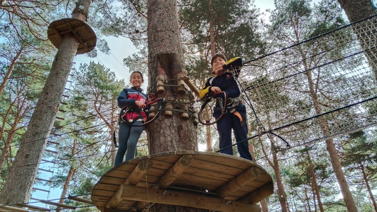 Salesianos Guadalajara tweet media