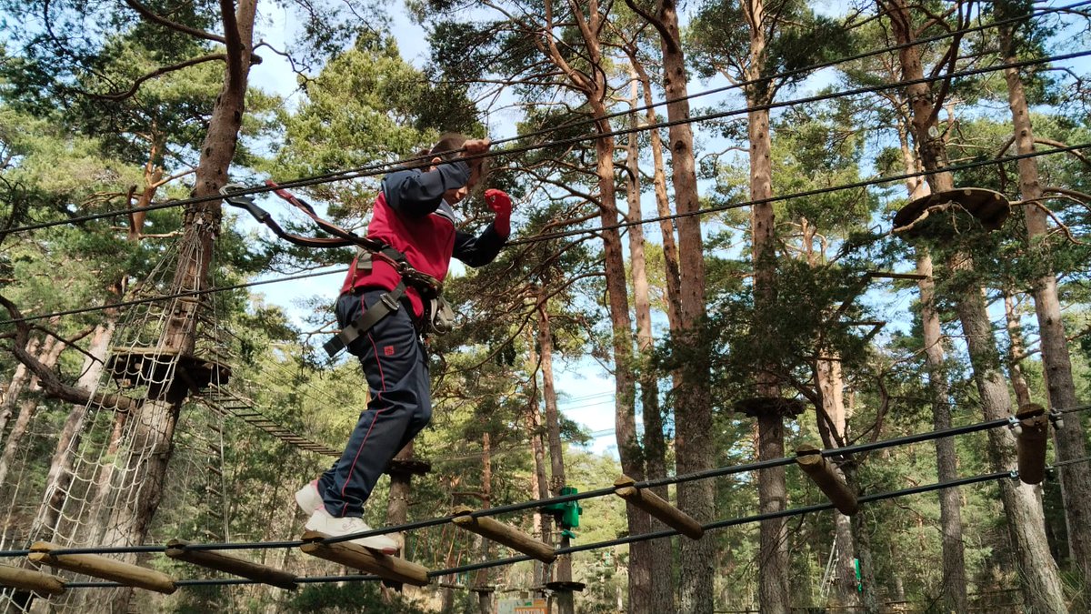 Salesianos Guadalajara tweet media