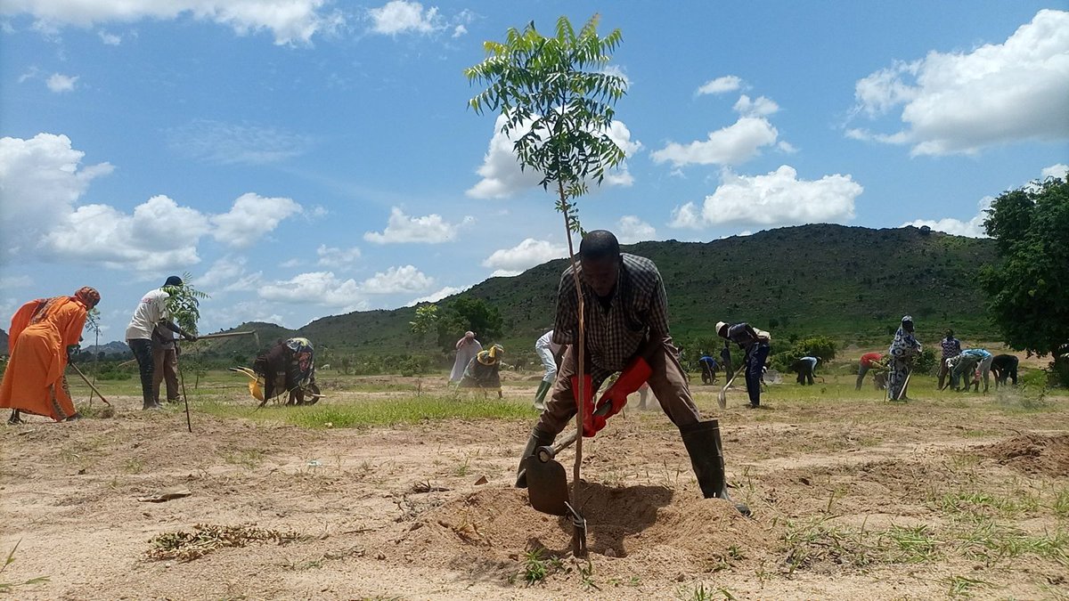 PNUD Cameroun tweet media