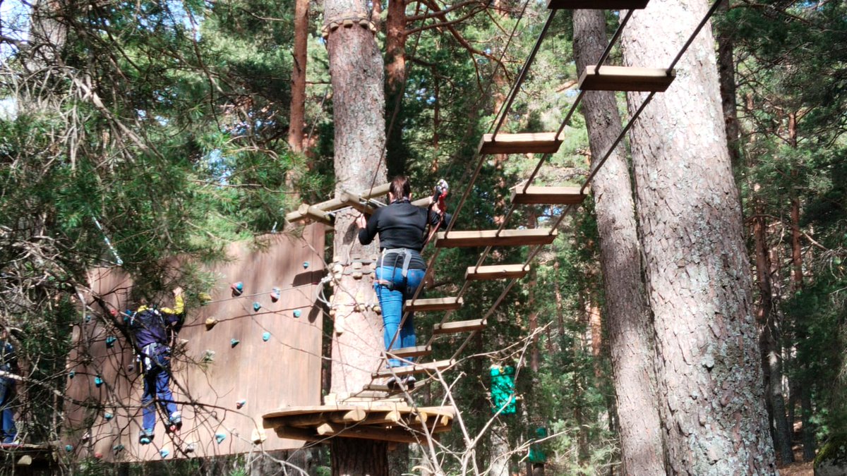 Salesianos Guadalajara tweet media