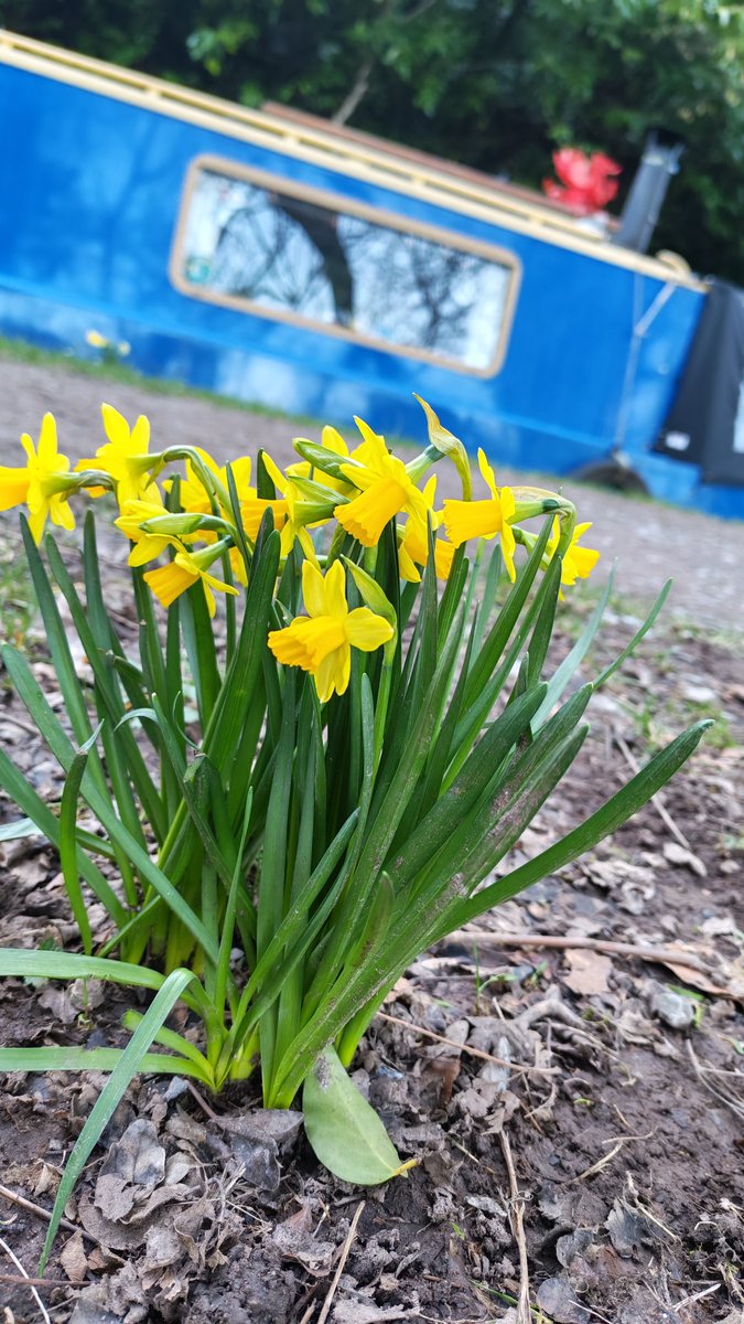 Katharine Skellon tweet media