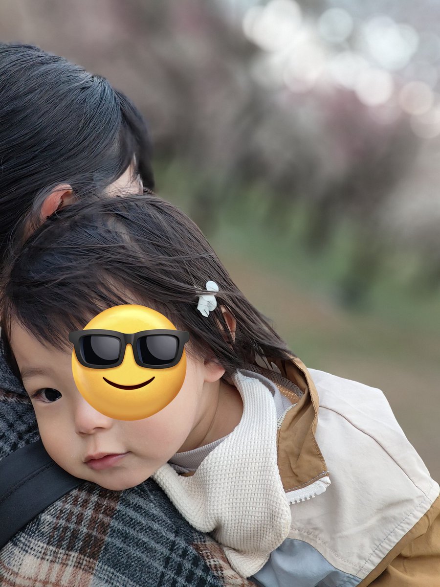 0131Promise's tweet photo. 先日、息子の誕生日に家族旅行✨✨
今の仕事の昇格試験ギリギリだったけど、一回忘れて家族で楽しみました😊

梅がキレイに咲いていて、頭に梅の花がのってますww

息子も満足そうにしててハピネス🥰

納豆炒飯がお気に入りのようです😏 https://t.co/ou4QbeZuut