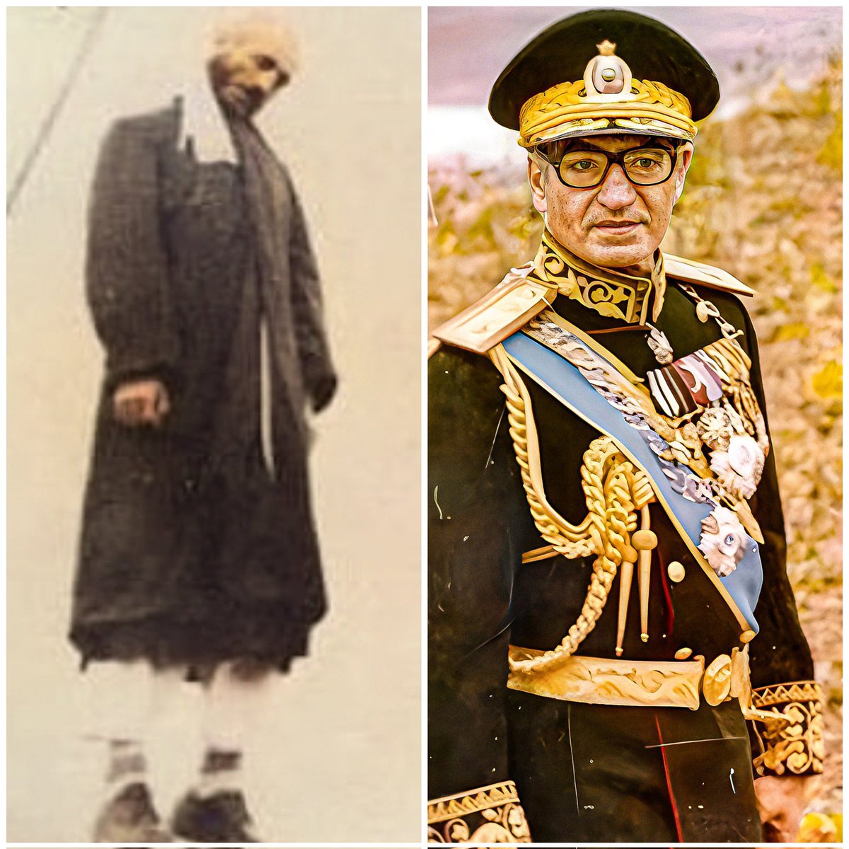 بوف کر tweet media