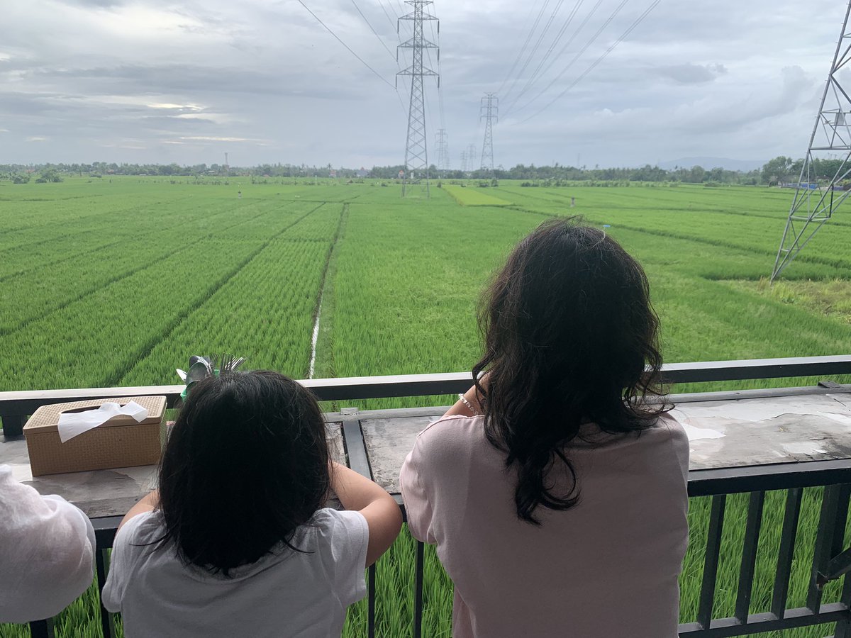 tisukesan's tweet photo. お湯出なかったり、玄関の鍵が壊れてたり、バック持ちながら通れない道を進んだ先の用水路から階段登った3階にフロントがあるような宿ばかりだったのに、今日からいきなり豪邸に泊まるらしいwww

そして今日も溝に車落として村人3人に救助されました🫣

🇮🇩まじ道狭いのに交通量��い https://t.co/jQ7264y9Ix
